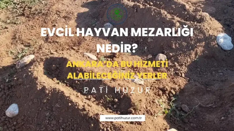 evcil hayvan mezarlığı neidr