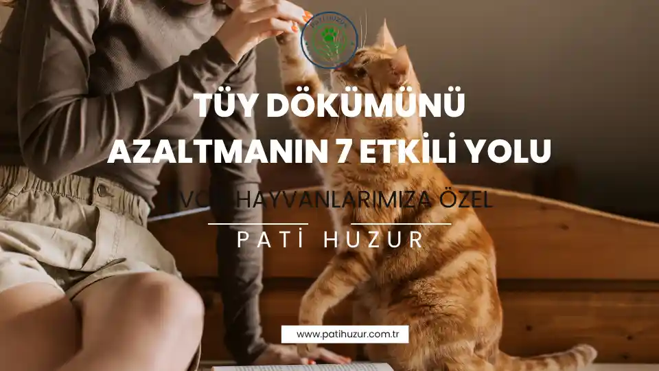 tüy dökümünü azaltmanın yolları
