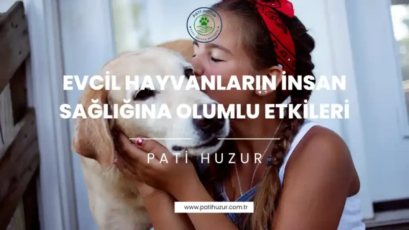 evcil hayvanların insan sağlığına olumlu etkileri