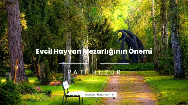 evcil hayvan mezarlığıın önemi